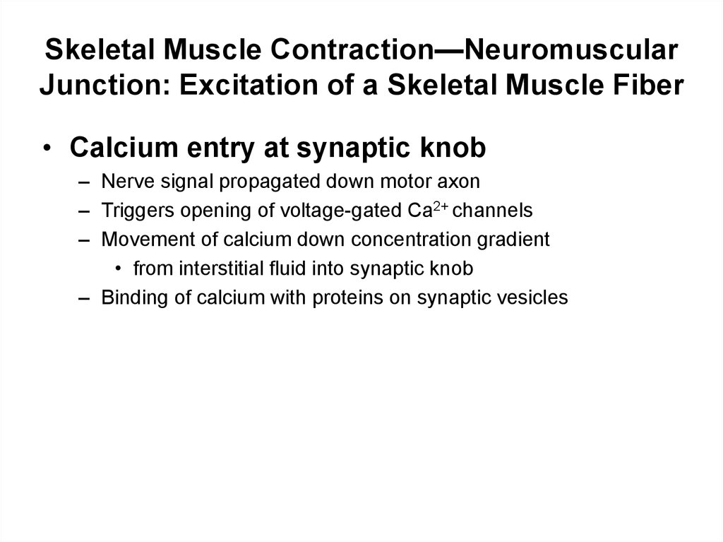 Skeletal Muscle Contraction—Neuromuscular Junction: Excitation of a Skeletal Muscle Fiber