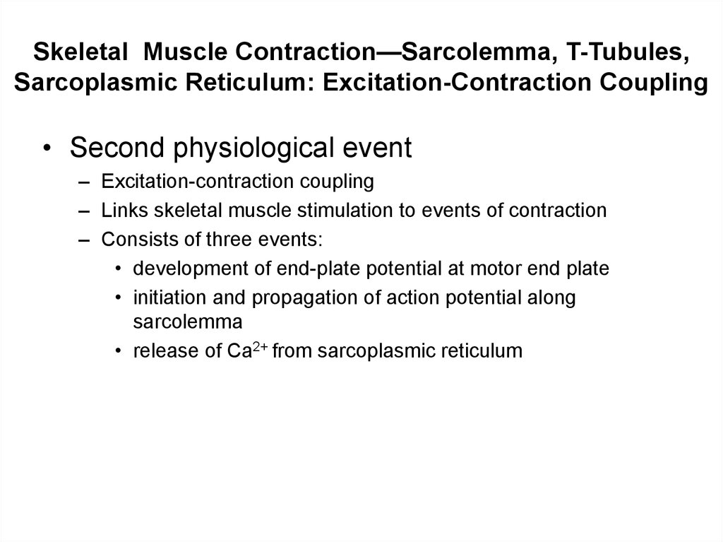 Skeletal Muscle Contraction—Sarcolemma, T-Tubules, Sarcoplasmic Reticulum: Excitation-Contraction Coupling