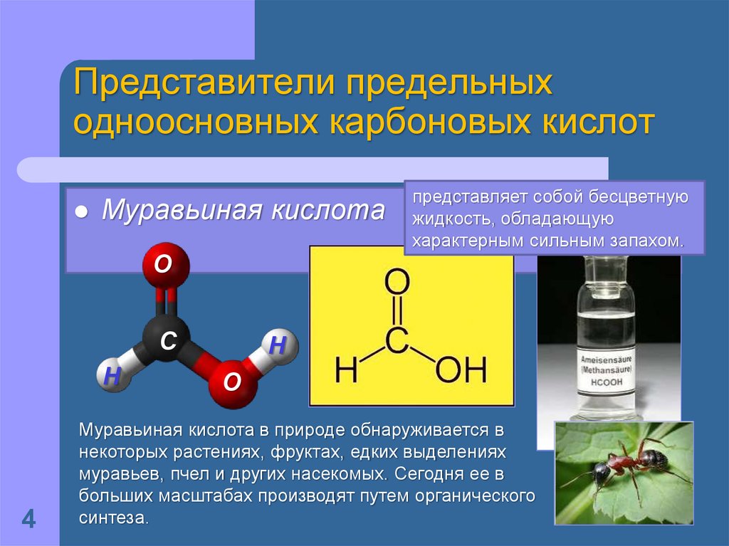 Этилен муравьиная кислота. Муравьиная кислота химия 10 класс. Электронное строение муравьиной кислоты. Предельные одноосновные карбоновые кислоты. Представители предельных карбоновых кислот.