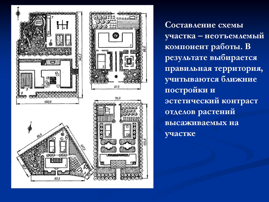 Схема пришкольного участка