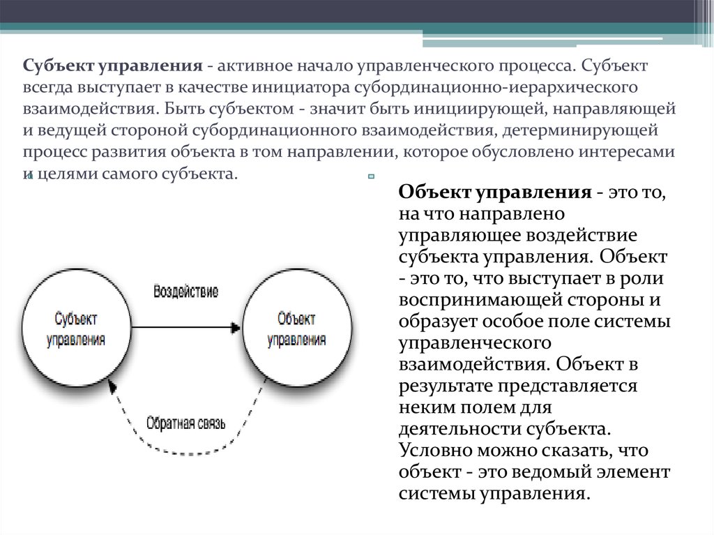 Субъекты процесса управления проектом