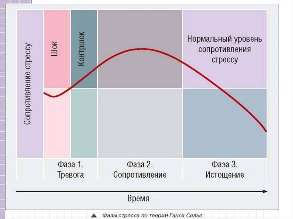 Назовите основные этапы развития стресса в физиологическом плане