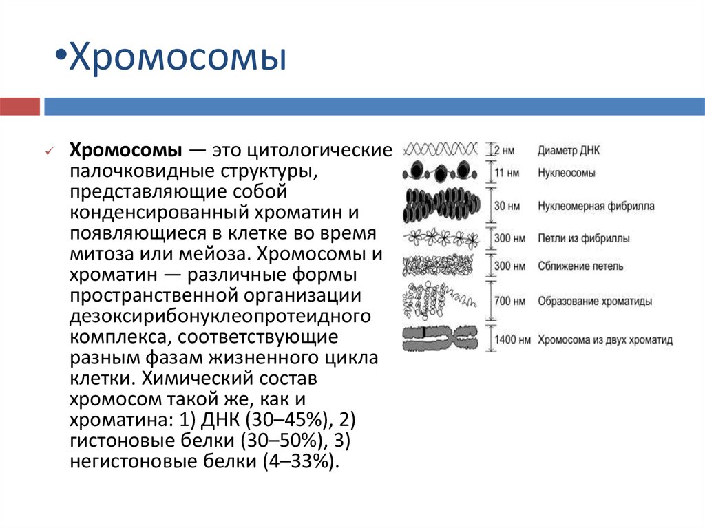 6 что такое карта хромосом