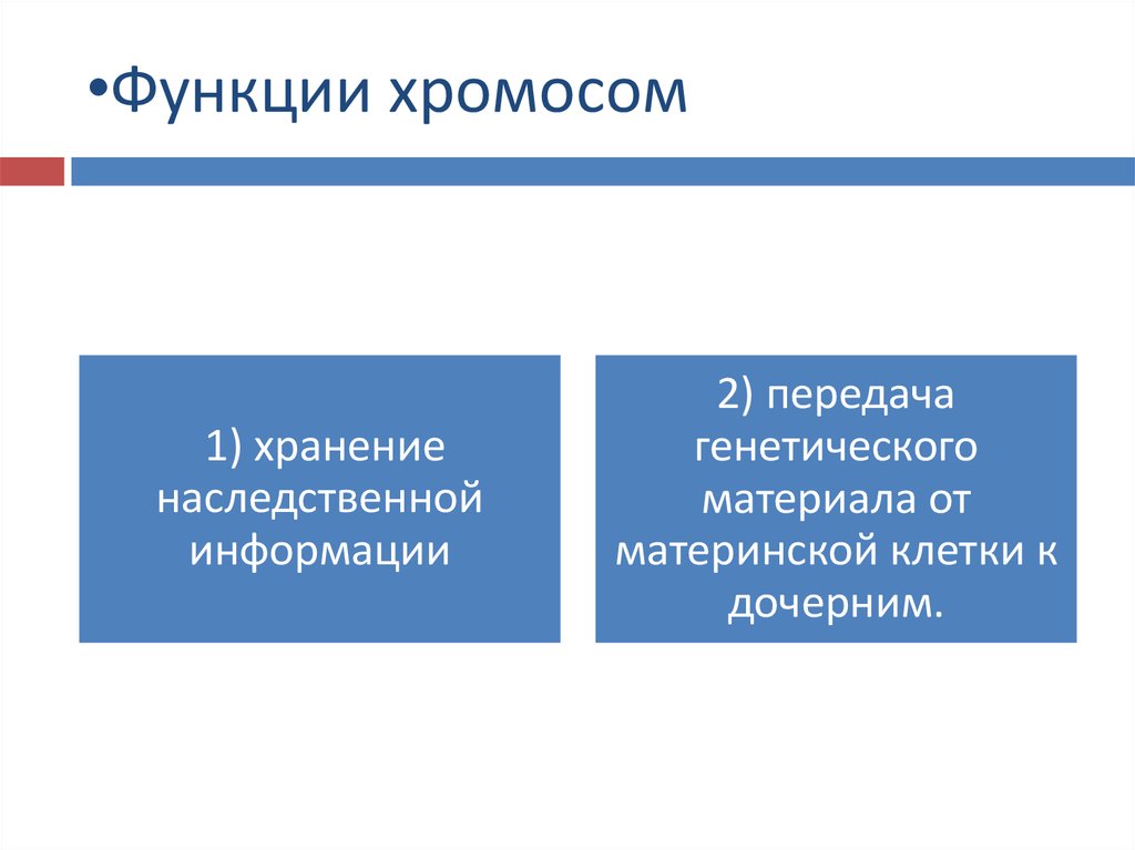 Хранение наследственной. Роль хромосом в передаче наследственной информации. Доказательства роли хромосом в передаче наследственной информации. Роль хромосом в хранении и передаче наследуемой информации. 15.Доказательства роли хромосом в передаче наследственной информации..