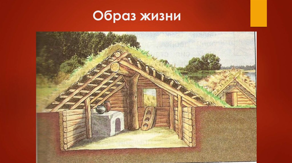 Образ жизни