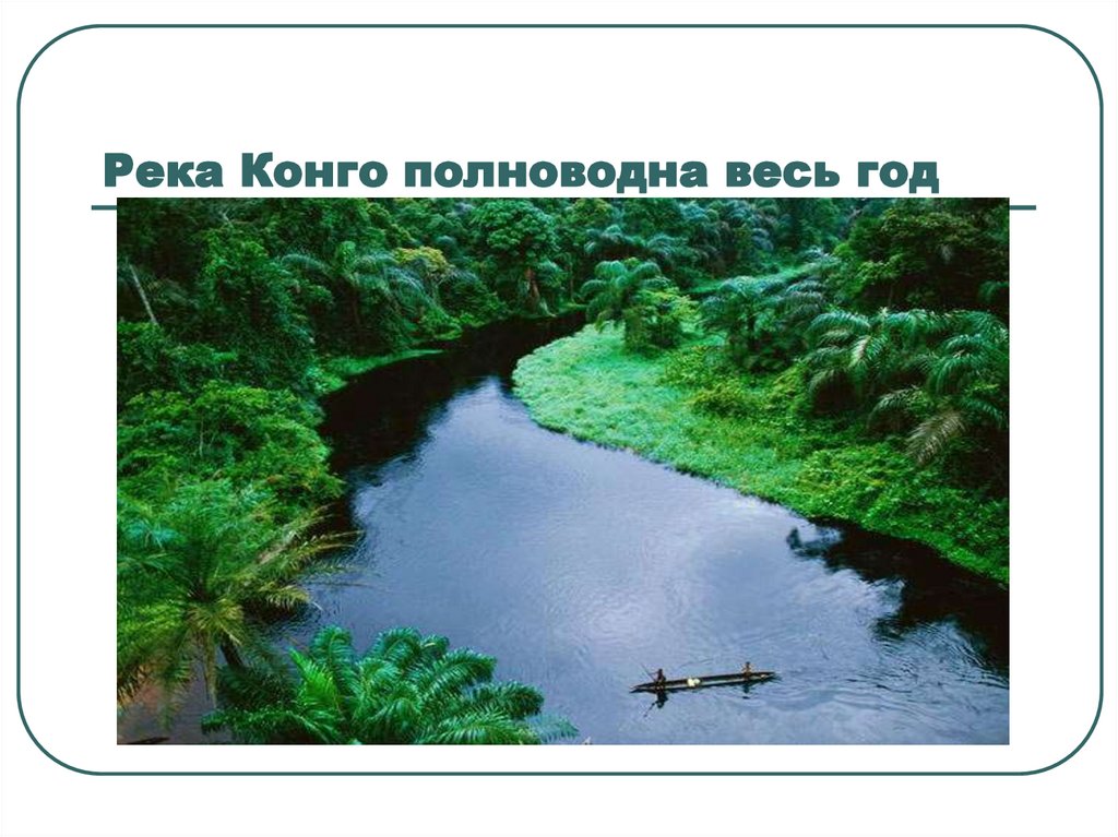 Полноводная река африки. Конго полноводная река. Реки Африки полноводные весь год. Почему река Конго полноводна.