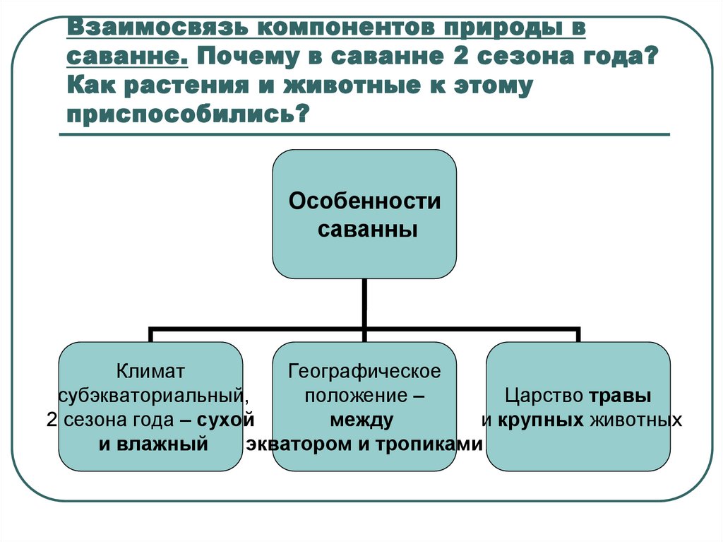 4 компонента природы