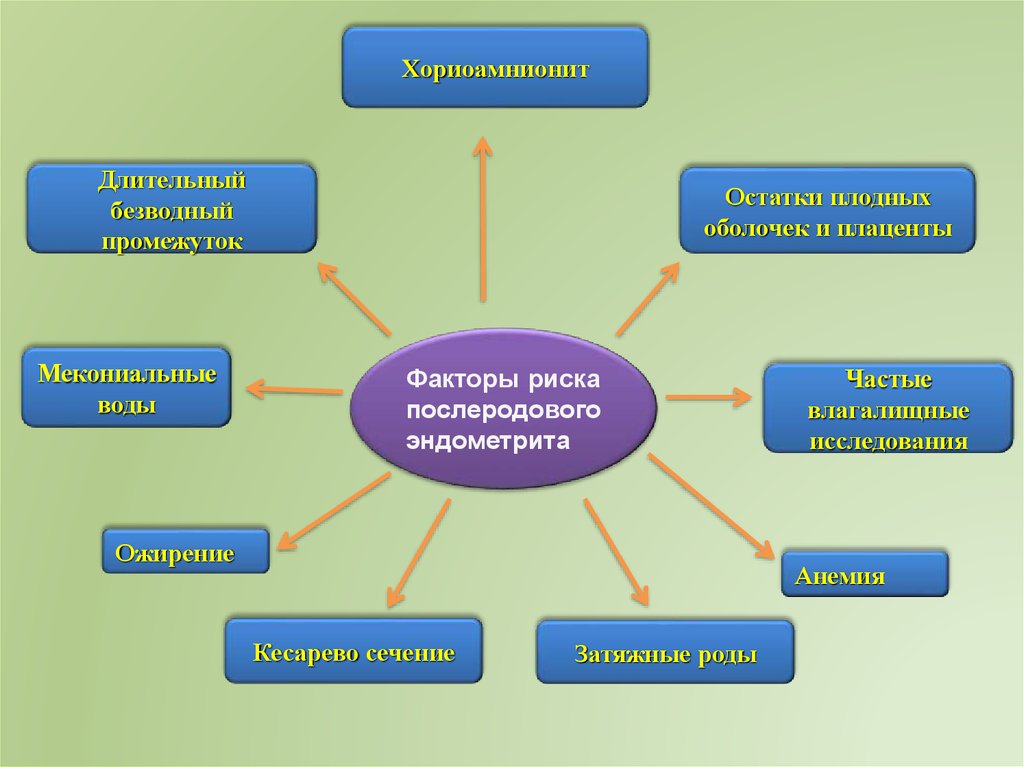 Хориоамнионит. Факторы риска послеродового эндометрита. Хориоамнионит симптомы. Послеродовый эндометрит факторы риска. Факторы риска хориоамнионита.