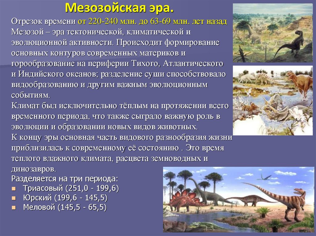 Мезозойская эра 9 класс