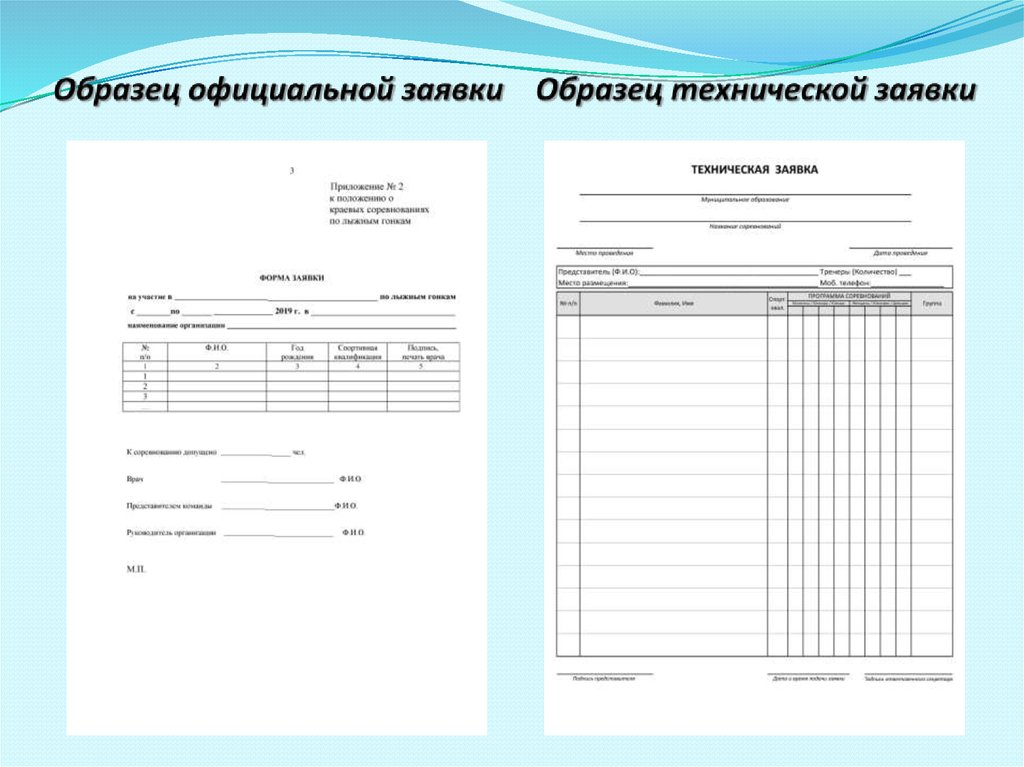 Техническая заявка по баскетболу образец