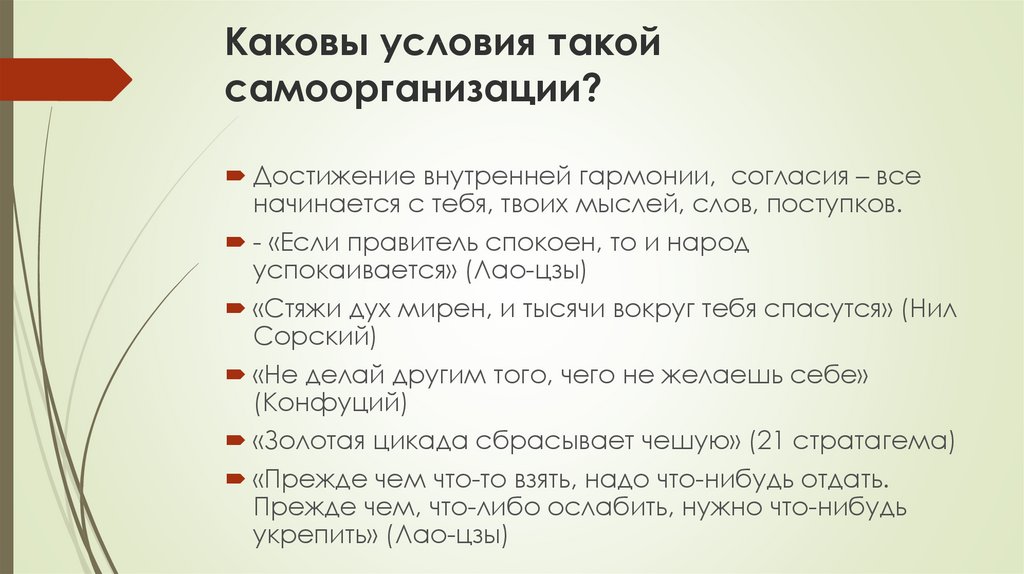 Каковы условия такой самоорганизации?