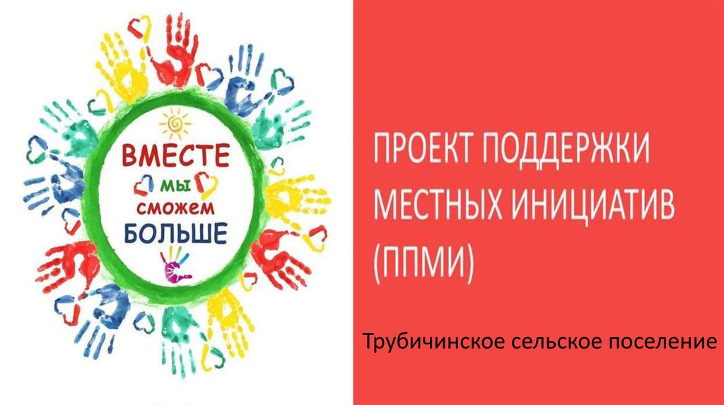 Проект местные инициативы