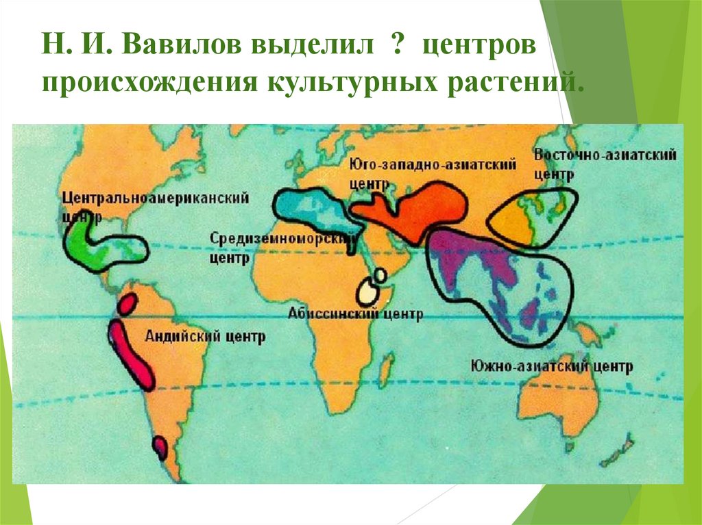 Центр происхождения культурного картофеля