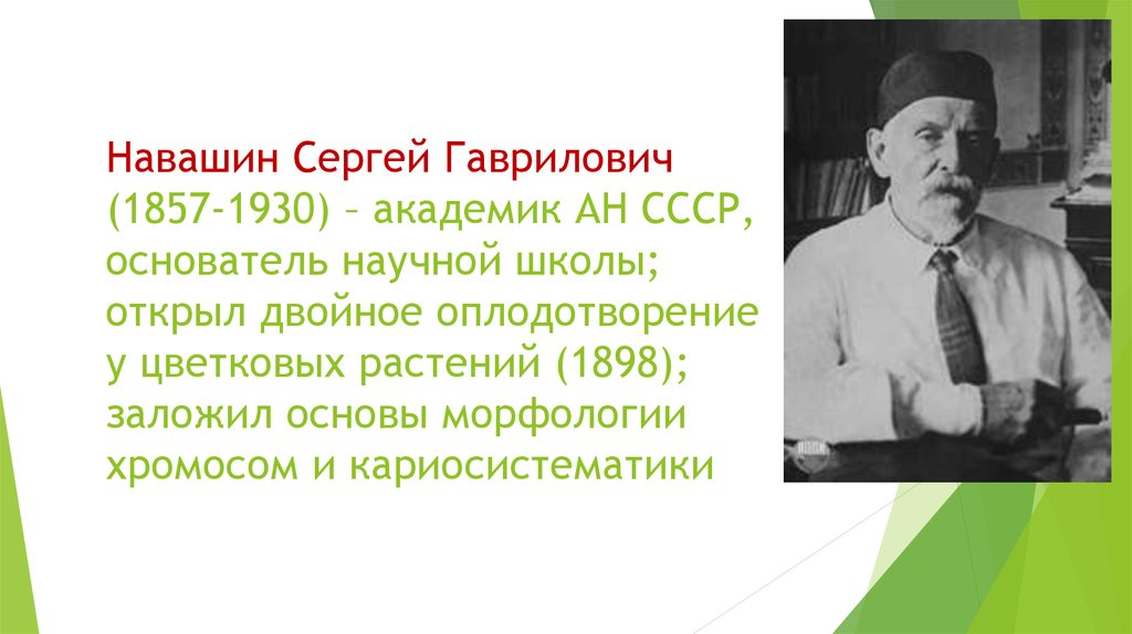 Навашин Сергей Гаврилович (1857-1930) – академик АН СССР, основатель научной школы; открыл двойное оплодотворение у цветковых