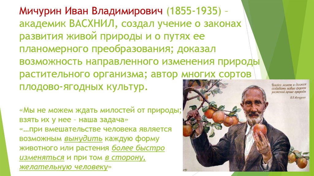 Мичурин Иван Владимирович (1855-1935) – академик ВАСХНИЛ, создал учение о законах развития живой природы и о путях ее