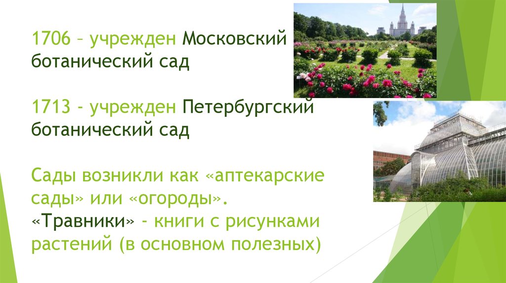 1706 – учрежден Московский ботанический сад 1713 - учрежден Петербургский ботанический сад Сады возникли как «аптекарские сады»