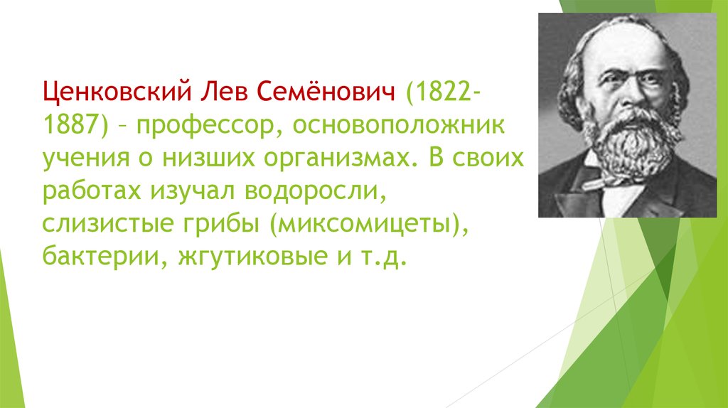 Ценковский Лев Семёнович (1822-1887) – профессор, основоположник учения о низших организмах. В своих работах изучал водоросли,