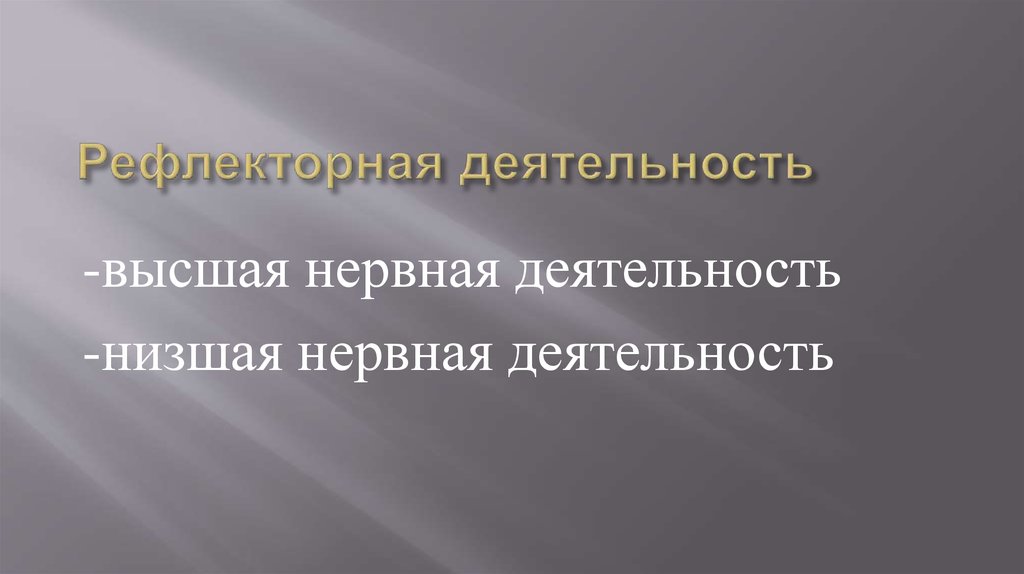 Высшая нервная деятельность рефлексы 8 класс презентация. Высшая и Низшая нервная деятельность.