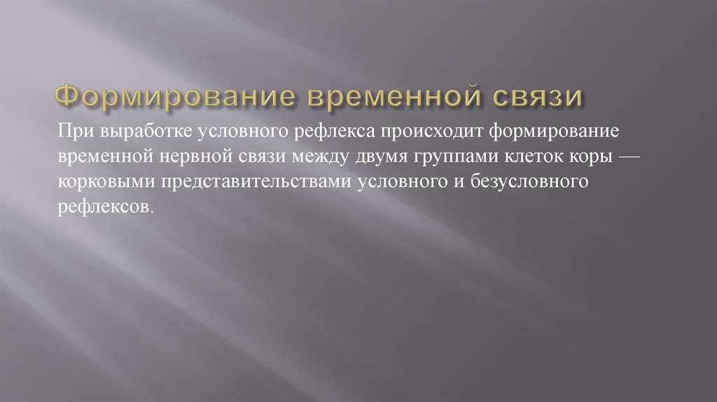 Деятельность временного. Формирование временной связи. Формирование временных связей. Принцип временной связи. Временная связь физиология.