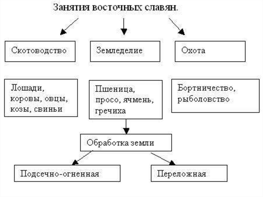 Главное занятие славян. Хозяйство славян схема. Основные занятия восточных славян схема. Схема земледелия у восточных славян. Схема основных занятий восточных славян.