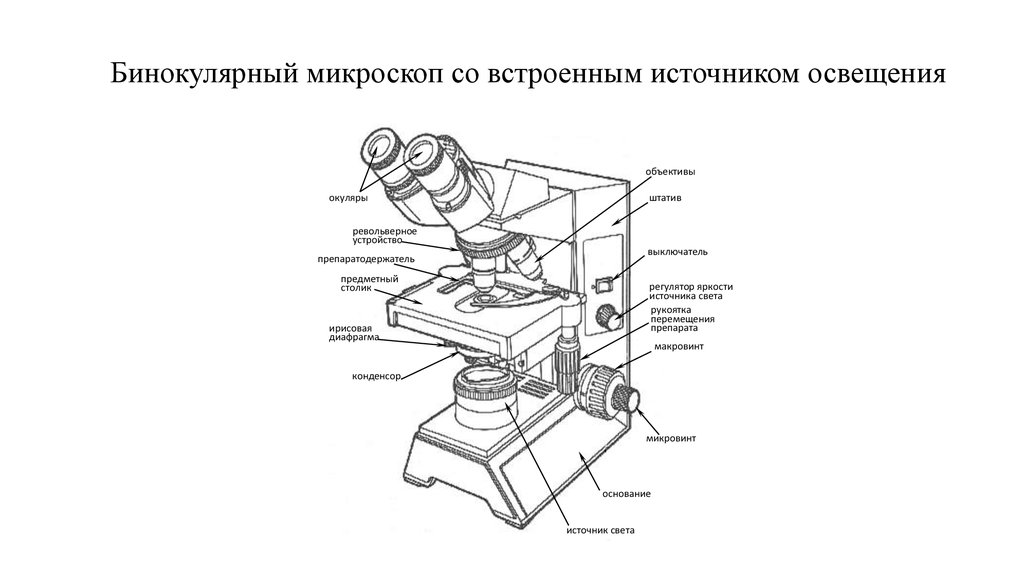 Двоится изображение в бинокулярном микроскопе