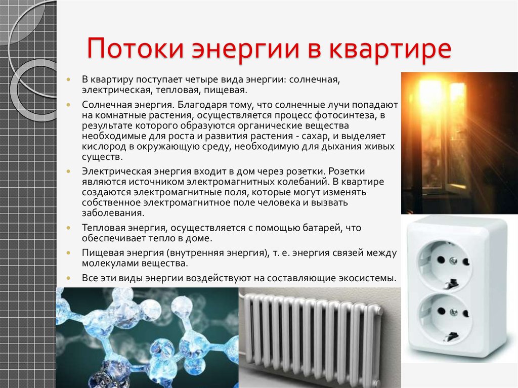 Квартира как экосистема проект