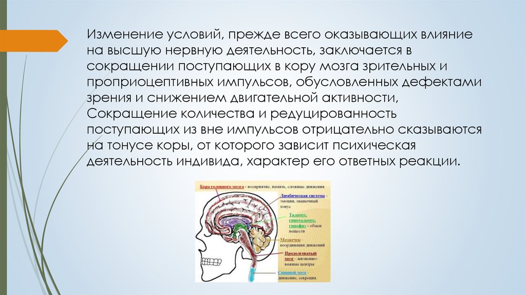 Составляющие компенсаторного комплекса при слепоте