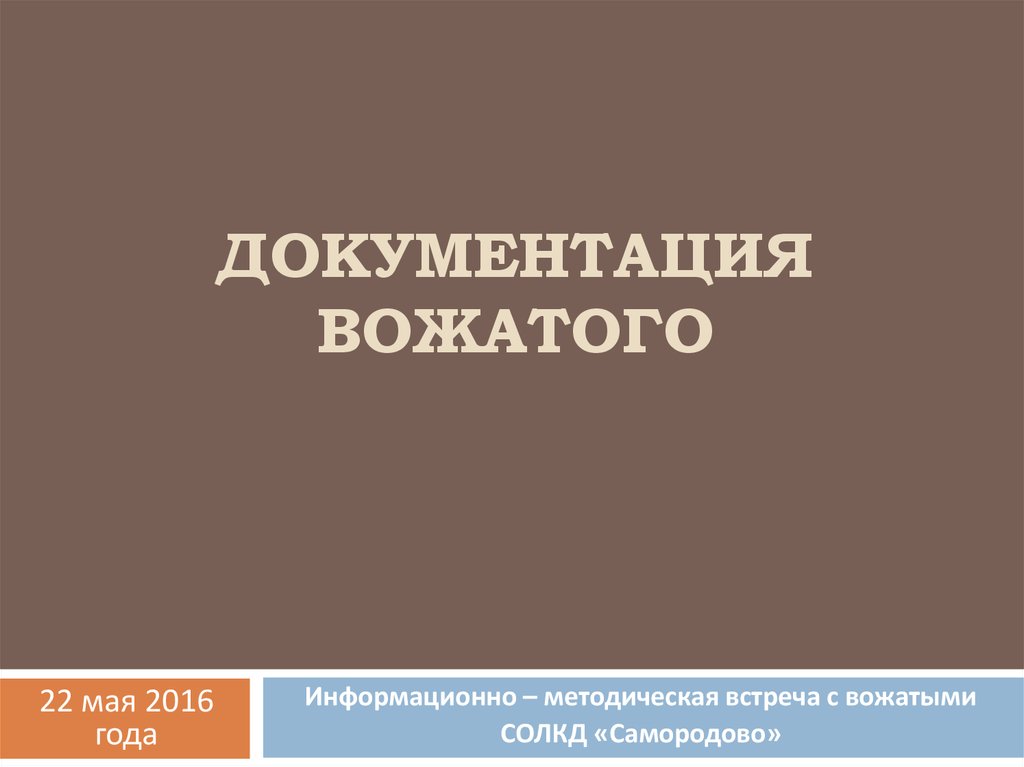 Встреча с вожатым. Документация вожатого. Межгосударственная интеграция Обществознание. Вожатская документация.