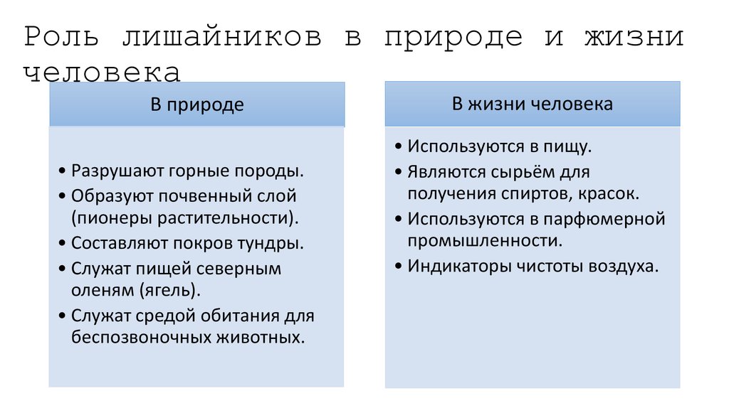 Составьте план ответа на вопрос какова роль лишайников в природе в жизни человека