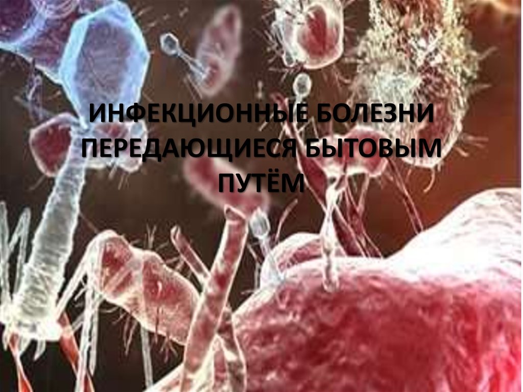 Инфекционные болезни. Заболевания передающиеся бытовым путем. Заболевания передающиеся контактным путем. Болезни передаваемые контактно бытовым путем.