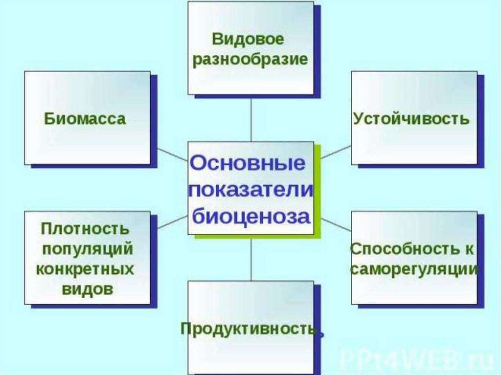 Биология 7 класс факторы среды и их влияние на биоценозы презентация