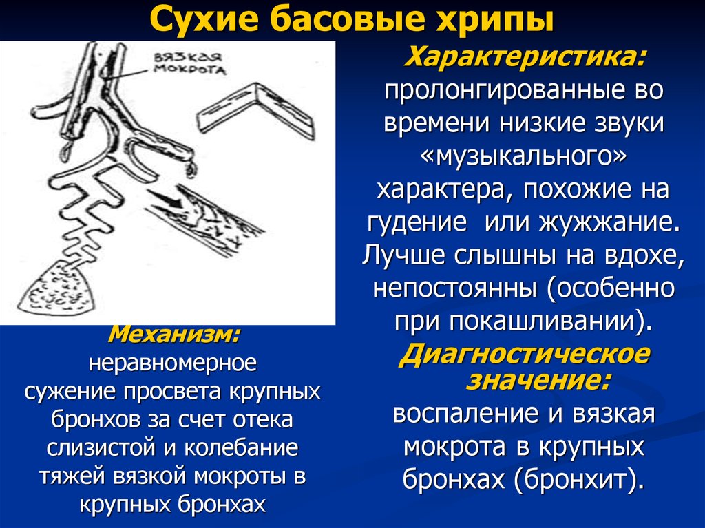 Ребенку 7 месяцев хрипы. Сухие свистящие хрипы. Сухие басовые хрипы. Характеристика хрипов. Сухие хрипы классификация.