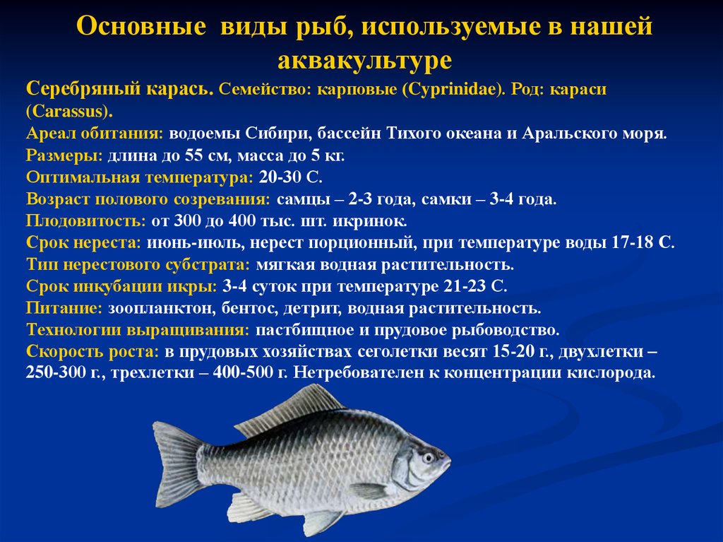 Продолжительность жизни рыбок
