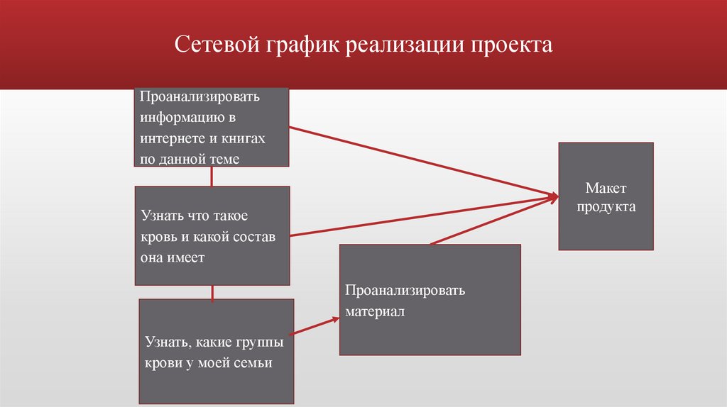 Сетевой график реализации проекта