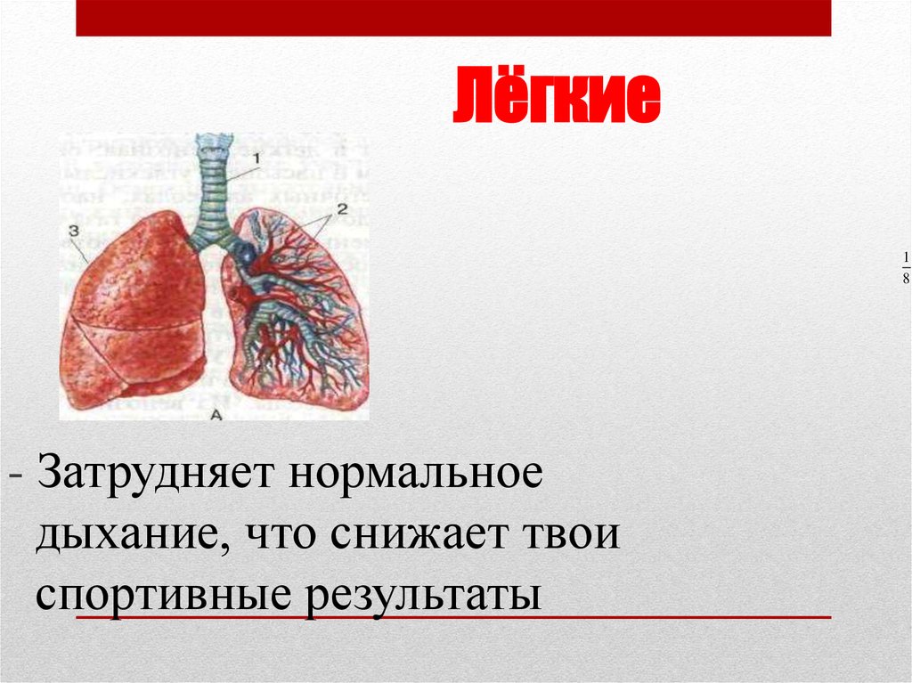 О вреде курения языком математики проект