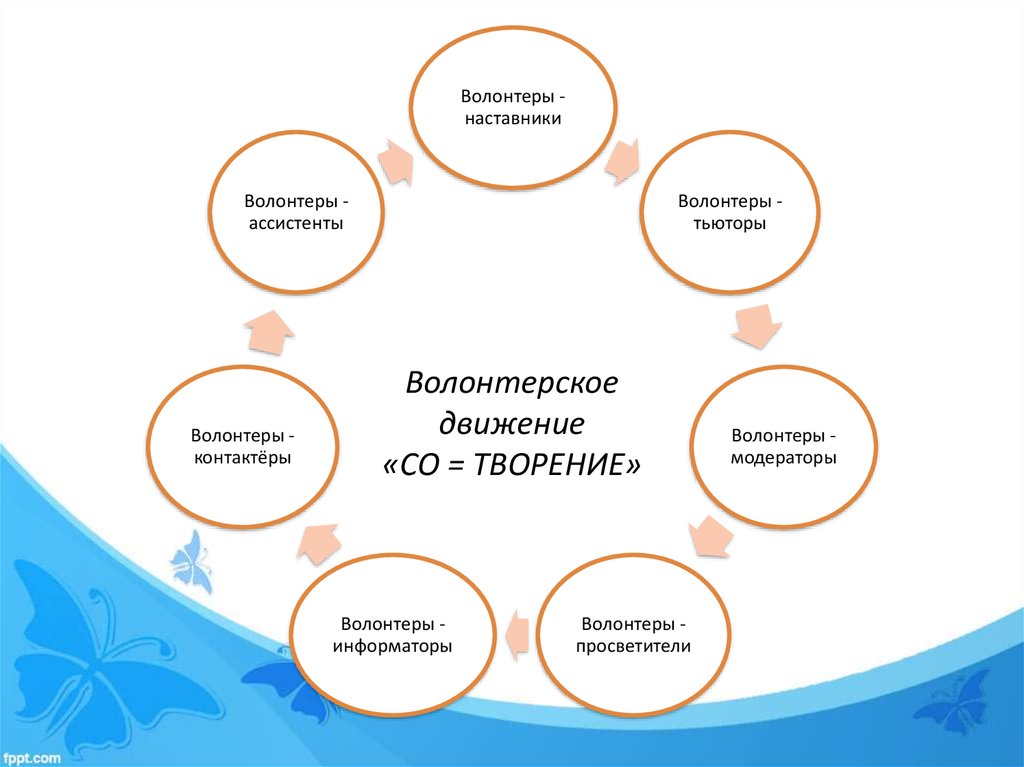 Волонтерские направления и проекты