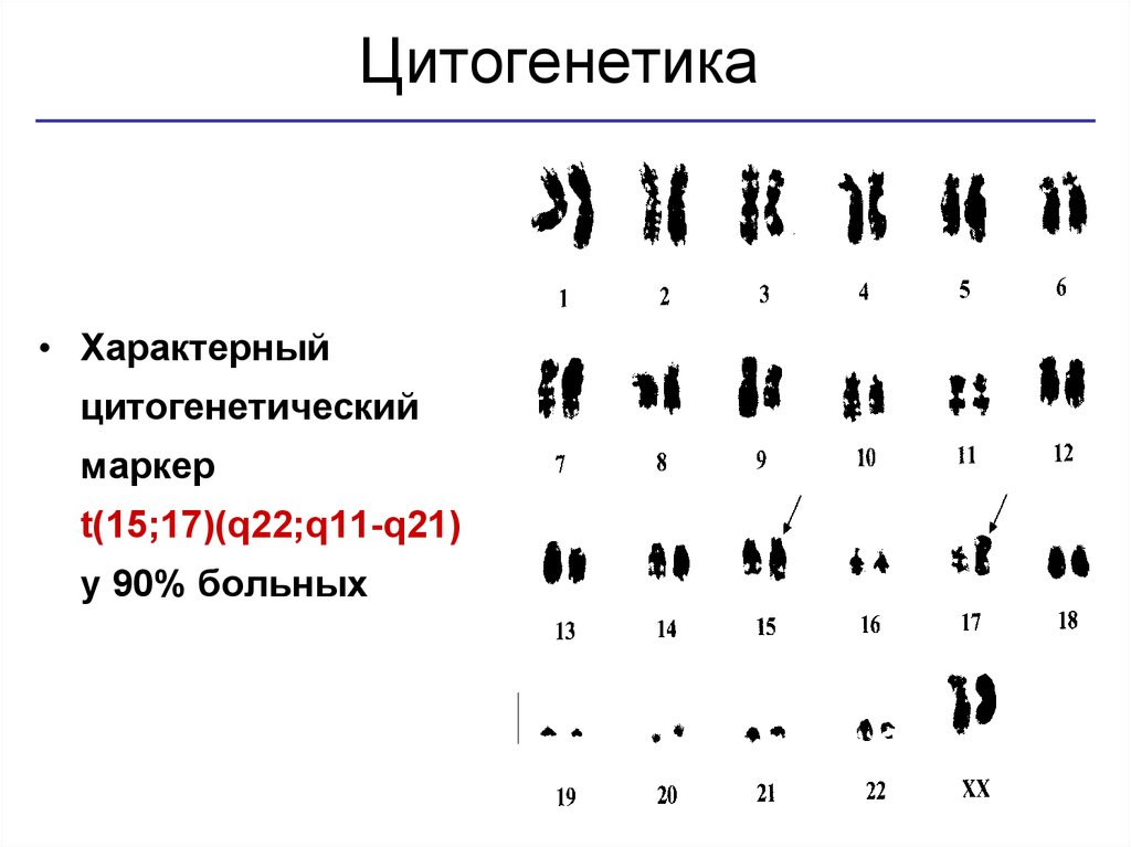 Цитогенетический метод картинки