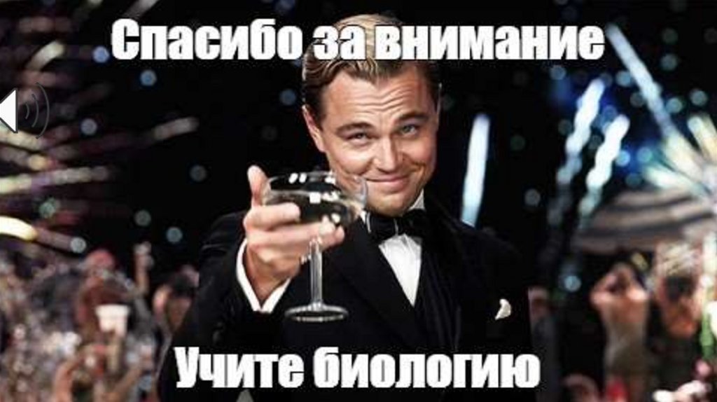 Внимание мем. Спасибо за внимание Путин. Спасибо за внимание Мем на украинском.