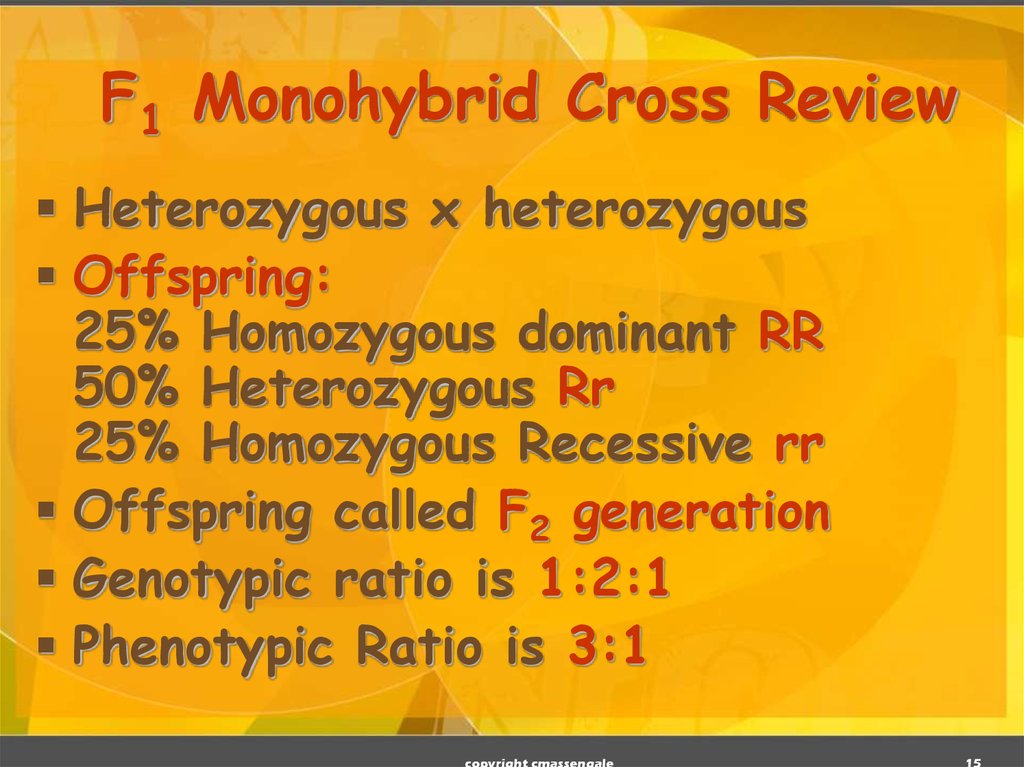 F1 Monohybrid Cross Review