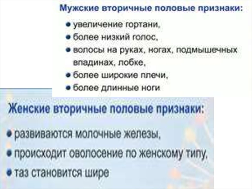 Строение и функции репродуктивной системы 8 класс презентация