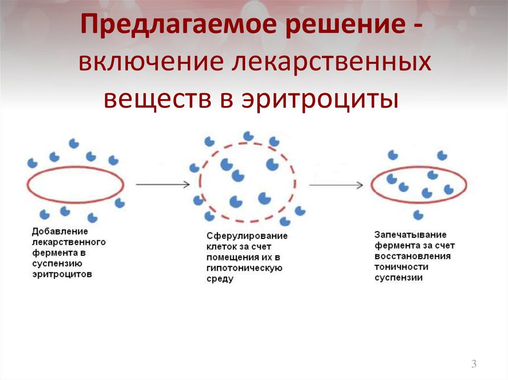 Предлагаемое решение - включение лекарственных веществ в эритроциты