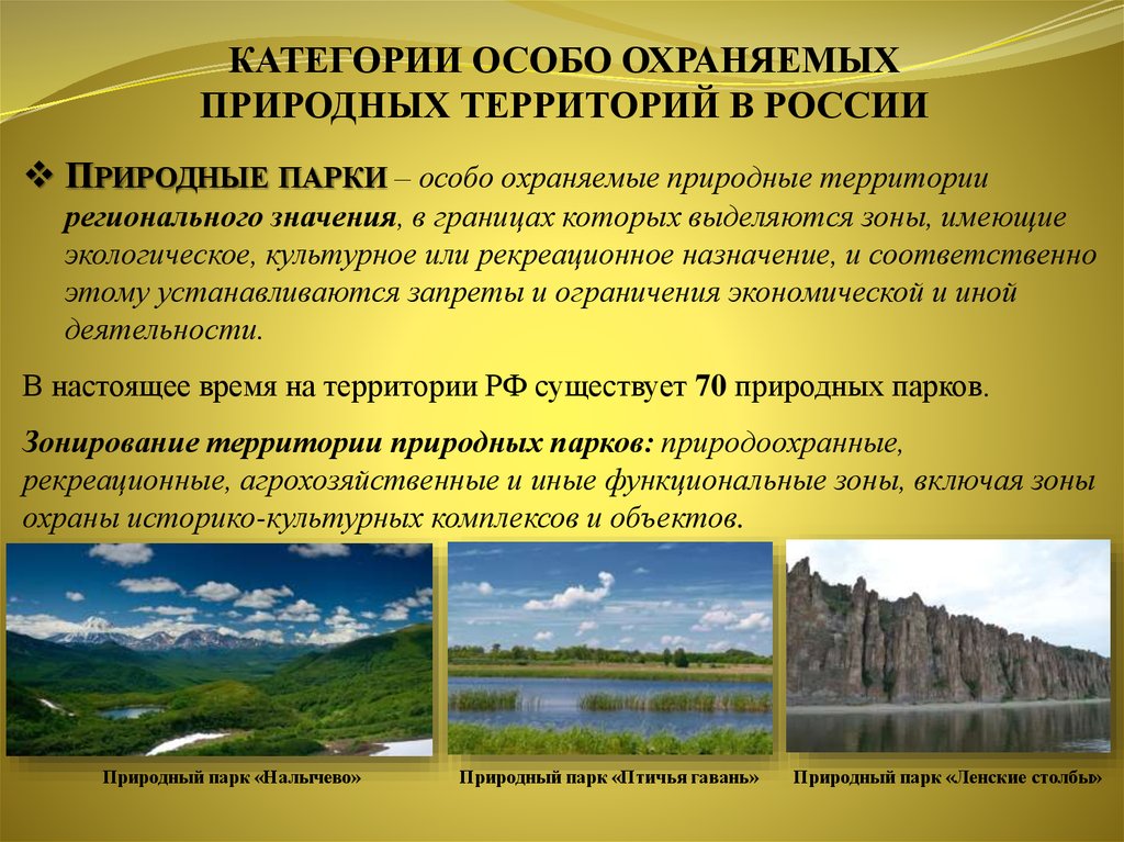 Почвы рекреационные. Природные парки экология. Парки и особо охраняемые природные территории. Особо охраняемые территории России. ООПТ презентация.