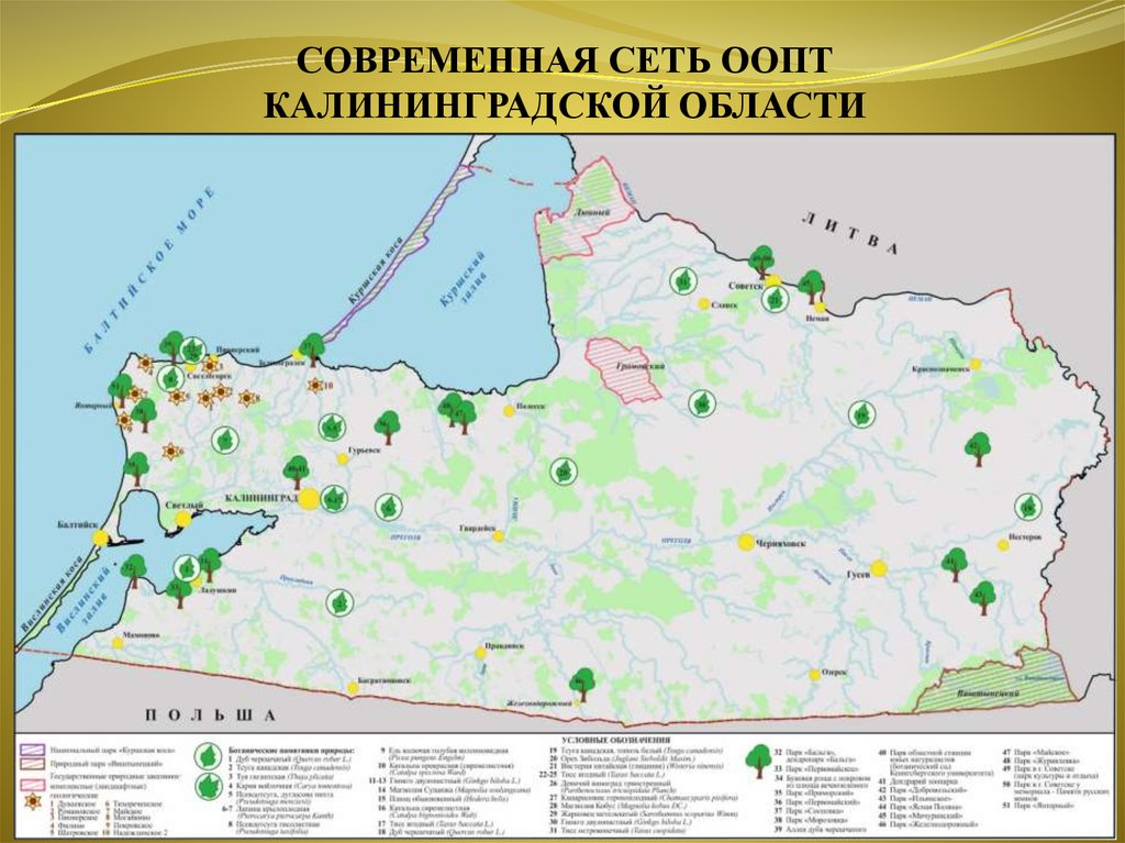 Карта калининградской области черняховского района калининградской области