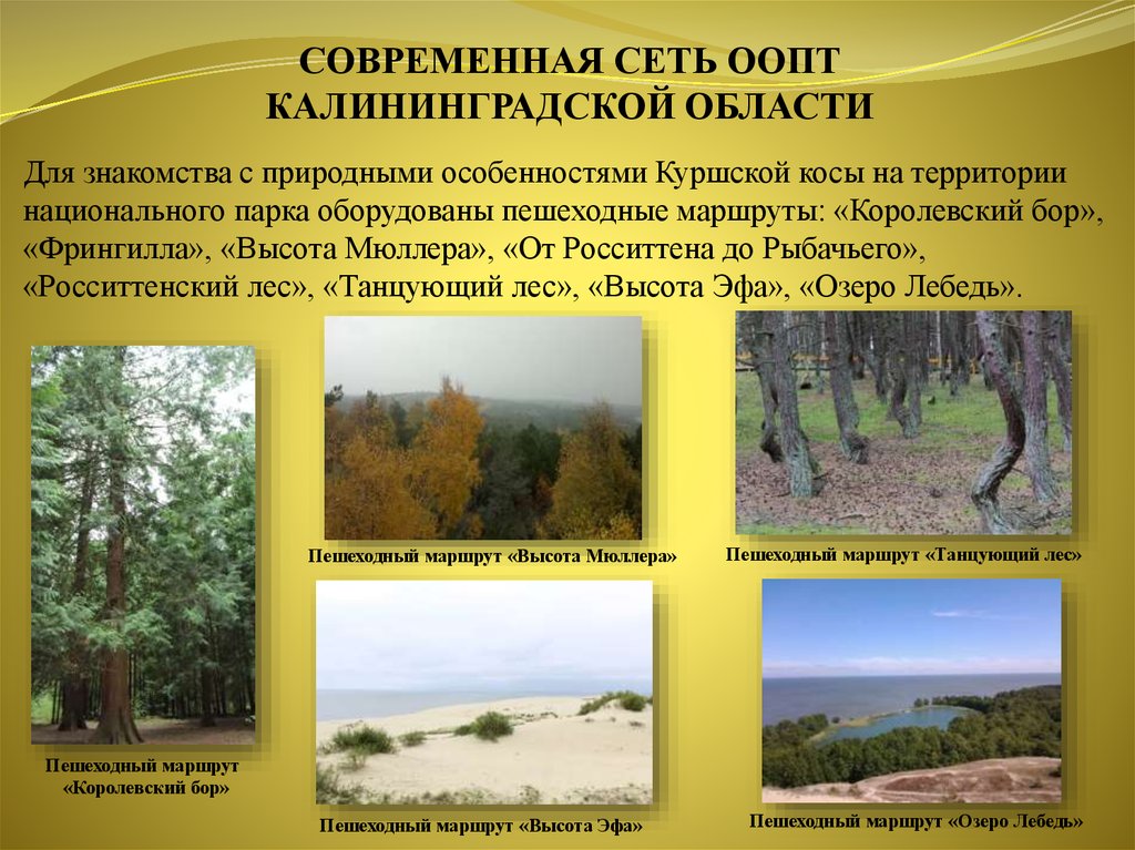 Антропогенный рельеф. Антропогенное воздействие на ООПТ. Куршская коса национальный парк почвы. Антропогенное воздействие на геосферы.