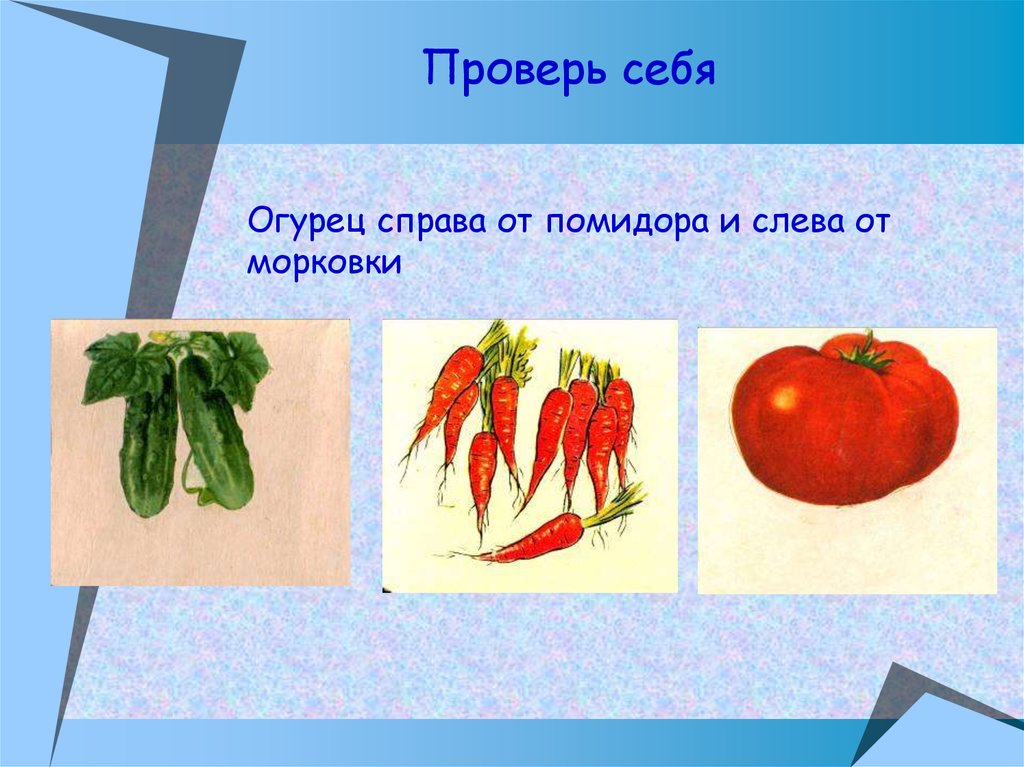 Огурец справа от помидора и слева от морковки