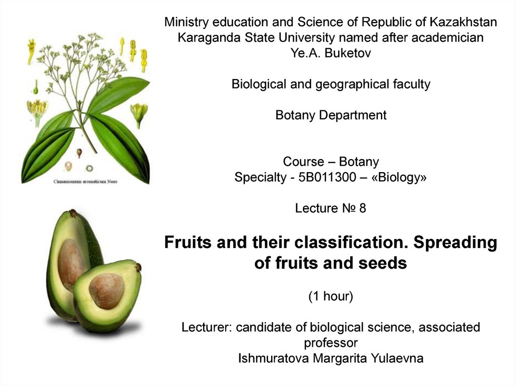 Fruits and their classification. Spreading of fruits and seeds - online