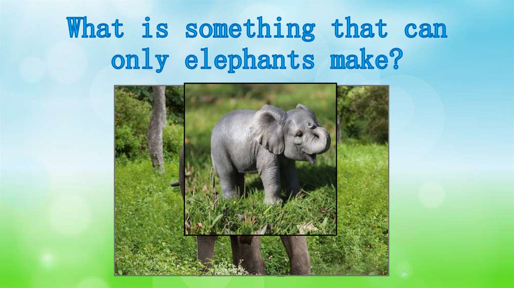 What is something that can only elephants make?