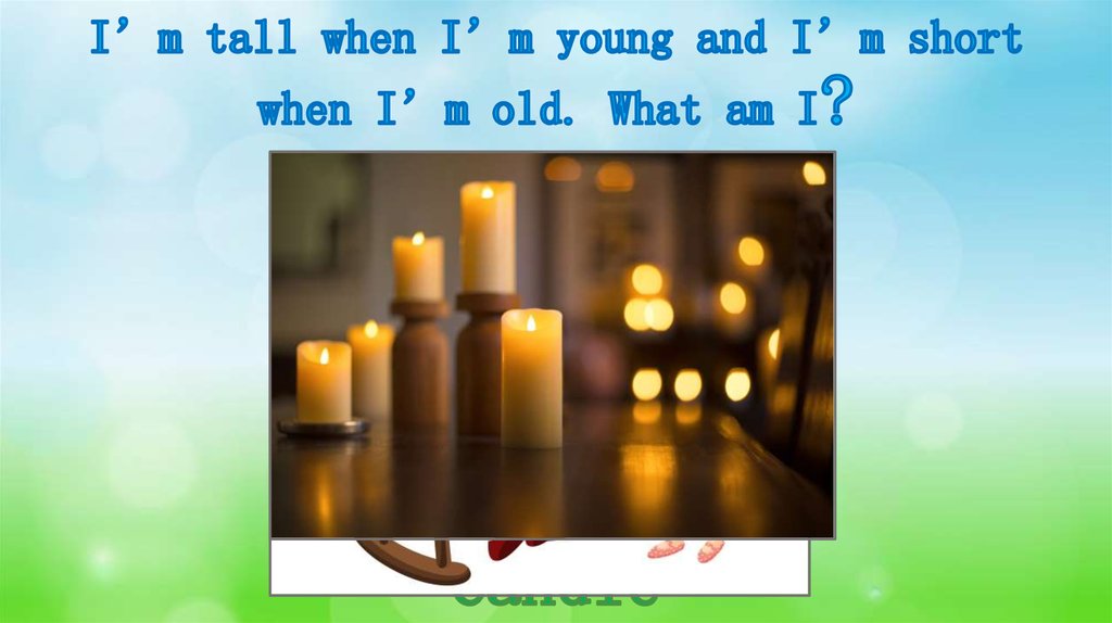 I’m tall when I’m young and I’m short when I’m old. What am I?