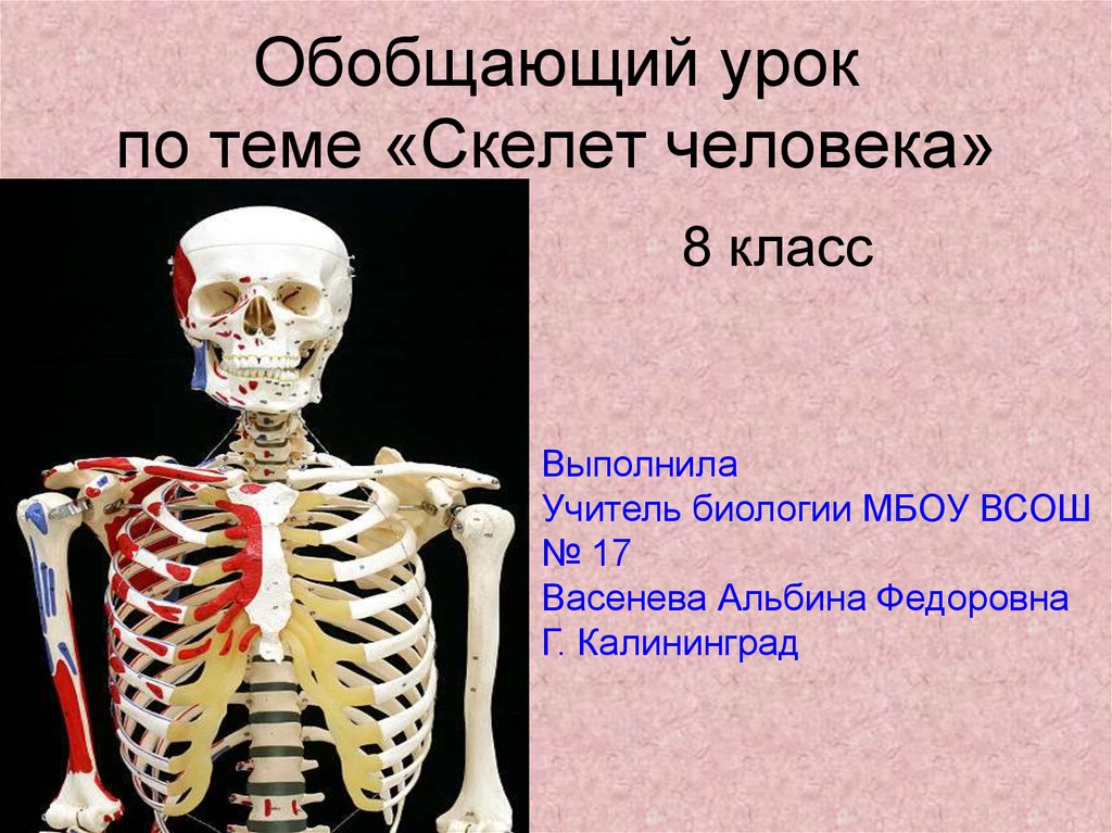 Про скелет человека. Скелет человека 8 класс биология. Биология 8 класс тема скелет человека. Скелет человека 8 класс биология презентация. Презентация по биологии 8 класса на тему скелет человека.