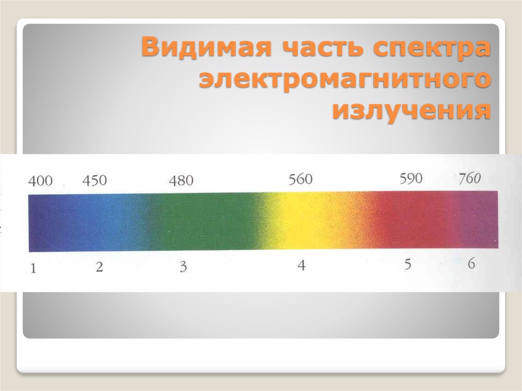 Видимая часть электромагнитного спектра. Видимая часть спектра. Видимая часть спектра электромагнитного излучения. Спектр видимого излучения. Видимый диапазон электромагнитного спектра.